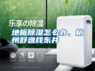 常见问题地板除湿怎么办，杭州舒逸找东井