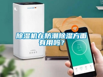 常见问题除湿机在防潮除湿方面有用吗？