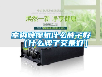 行业资讯室内除湿机什么牌子好（什么牌子艾条好）