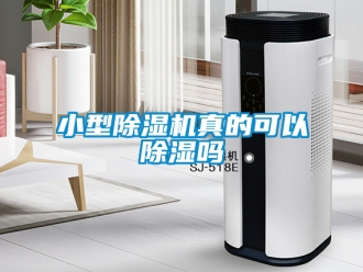 行业资讯小型除湿机真的可以除湿吗