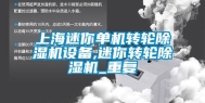 上海迷你单机转轮除湿机设备,迷你转轮除湿机_重复