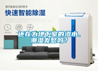 企业动态还在为地下室的渗水、潮湿发愁吗？