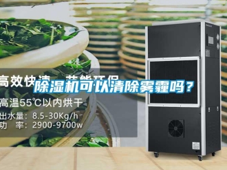 常见问题除湿机可以清除雾霾吗？