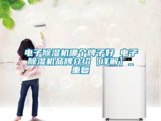 企业动态电子除湿机哪个牌子好 电子除湿机品牌介绍【详解】_重复