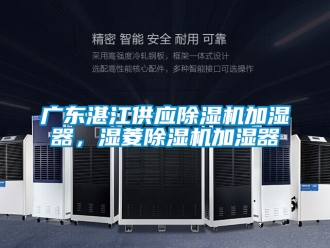 行业资讯广东湛江供应除湿机加湿器，湿菱除湿机加湿器