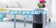 湖南工业除湿机厂家供货