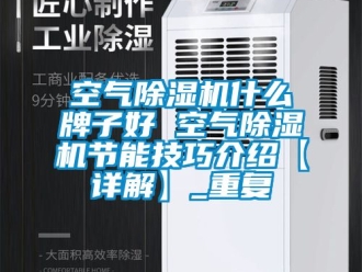 行业资讯空气除湿机什么牌子好 空气除湿机节能技巧介绍【详解】_重复