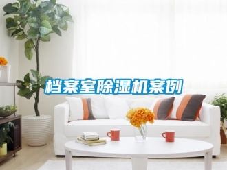 行业资讯档案室除湿机案例