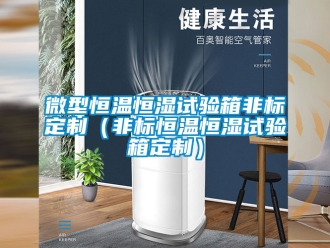 知识百科微型恒温恒湿试验箱非标定制（非标恒温恒湿试验箱定制）