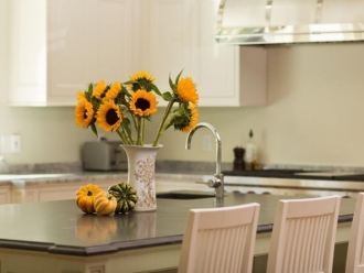 知识百科粉干烘干机，粉干烘干除湿设备