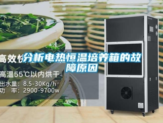知识百科分析电热恒温培养箱的故障原因