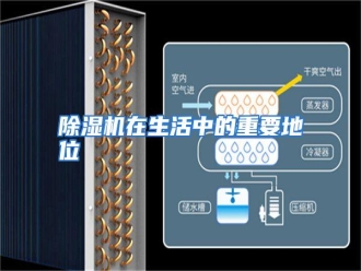 知识百科除湿机在生活中的重要地位