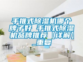 企业动态手推式除湿机哪个牌子好 手推式除湿机品牌推荐【详解】_重复