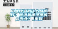 工业除湿机什么品牌好？除湿机哪个品牌最专业？_重复