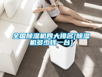 行业资讯全国除湿机四大排名[除湿机多少钱一台]