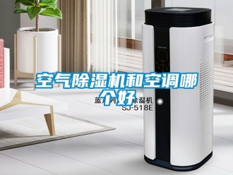 行业资讯空气除湿机和空调哪个好