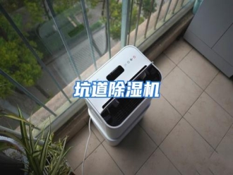 行业资讯坑道除湿机