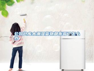 常见问题公司仓库太潮湿货物都发霉了怎么办