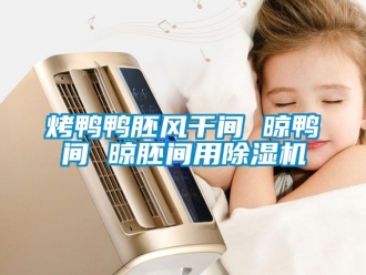 行业资讯烤鸭鸭胚风干间 晾鸭间 晾胚间用除湿机