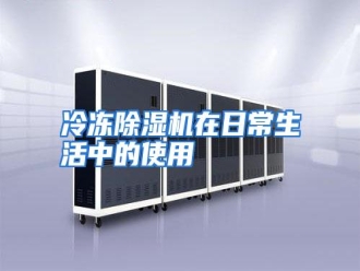 行业资讯冷冻除湿机在日常生活中的使用