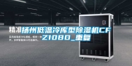 扬州低温冷库型除湿机CFZ10BD_重复