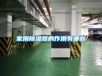 行业资讯家用除湿器的作用有哪些