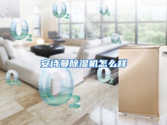 常见问题安诗曼除湿机怎么样