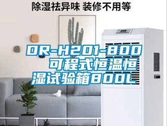 常见问题DR-H201-800  可程式恒温恒湿试验箱800L