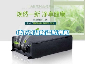 行业资讯地下商场除湿防潮机