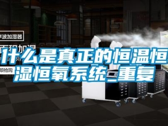 知识百科什么是真正的恒温恒湿恒氧系统_重复