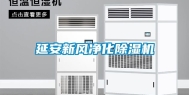 延安新风净化除湿机