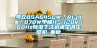 海立BSA645CW／R134a／878W单相115-120V／60Hz除湿干洗机柜空调压缩机_重复