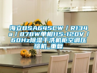 行业资讯海立BSA645CW／R134a／878W单相115-120V／60Hz除湿干洗机柜空调压缩机_重复