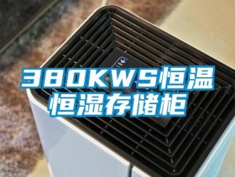 常见问题380KWS恒温恒湿存储柜