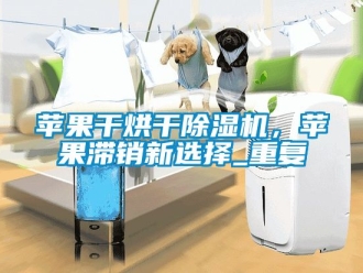 行业资讯苹果干烘干除湿机，苹果滞销新选择_重复