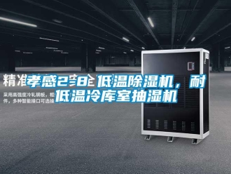 行业资讯孝感2-8℃低温除湿机，耐低温冷库室抽湿机