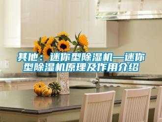 行业资讯其他：迷你型除湿机—迷你型除湿机原理及作用介绍