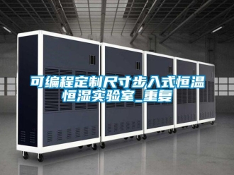 知识百科可编程定制尺寸步入式恒温恒湿实验室_重复