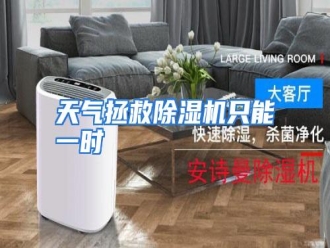 行业资讯天气拯救除湿机只能一时
