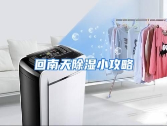 知识百科回南天除湿小攻略