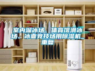 行业资讯室内溜冰场、体育馆滑冰场、冰壶竞技场用除湿机_重复