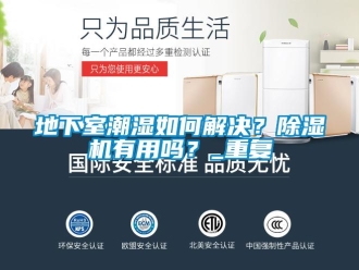 行业资讯地下室潮湿如何解决？除湿机有用吗？_重复