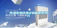 恒温恒湿环境试验箱保养技巧