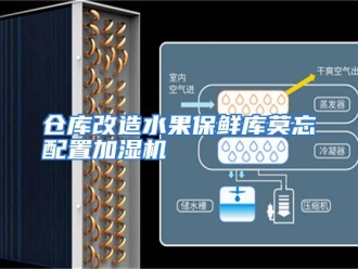 知识百科仓库改造水果保鲜库莫忘配置加湿机