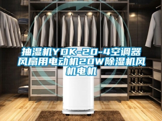 企业动态抽湿机YDK-20-4空调器风扇用电动机20W除湿机风机电机