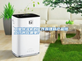 常见问题工业除湿机的工作原理和产品特点巧妙在哪里？