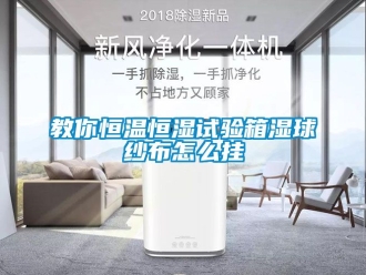 知识百科教你恒温恒湿试验箱湿球纱布怎么挂