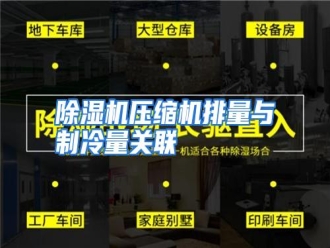 知识百科除湿机压缩机排量与制冷量关联