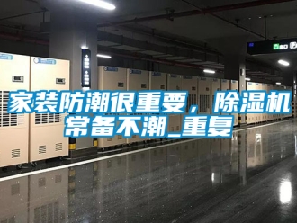 行业资讯家装防潮很重要，除湿机常备不潮_重复