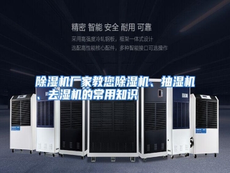 知识百科除湿机厂家教您除湿机、抽湿机、去湿机的常用知识